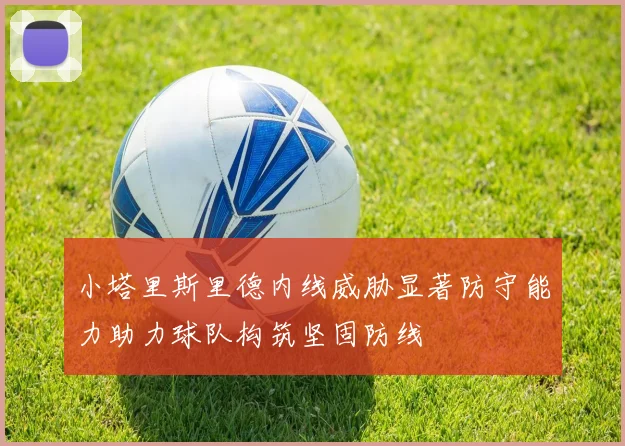 小塔里斯里德内线威胁显著防守能力助力球队构筑坚固防线